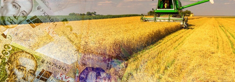 Попередній підрахунок: Херсонська область підтримала 53,85% кандидатів від аграрної партії Попередній підрахунок: Херсонська область підтримала 53,85% кандидатів від аграрної партії