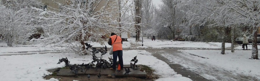 Херсонские голуби накормлены и обогреты (фотофакт)