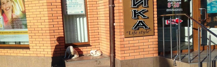 В Херсоне будет собачий рай - для этого созданы все шансы и все гарантии