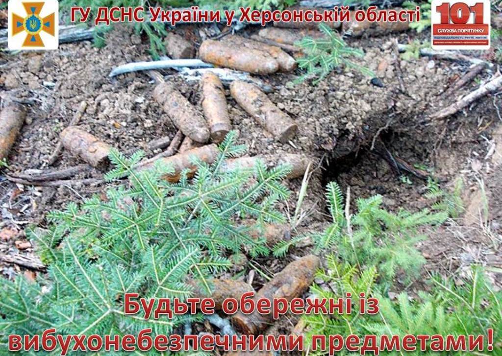 Херсонські піротехніки не допустили вибухів у Бериславському районі Херсонські піротехніки не допустили вибухів у Бериславському районі