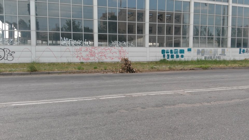 Херсонской ливневке сделали икебану