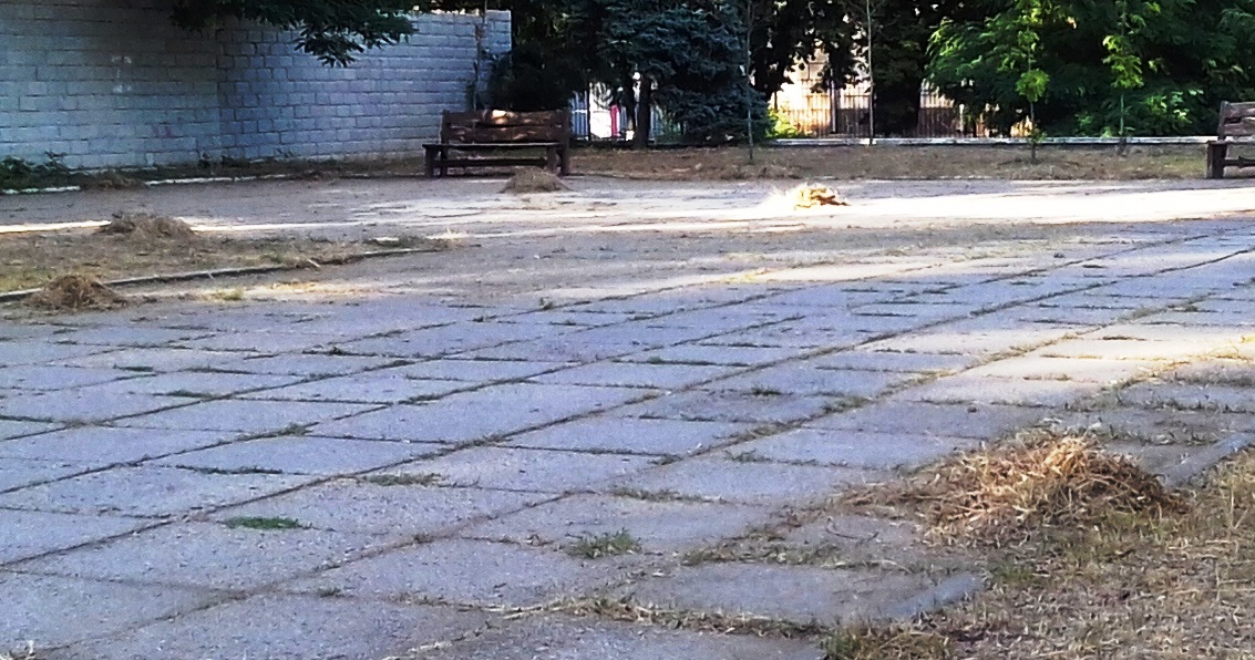 Секрет уборки по-херсонски раскрыт (фотофакт)
