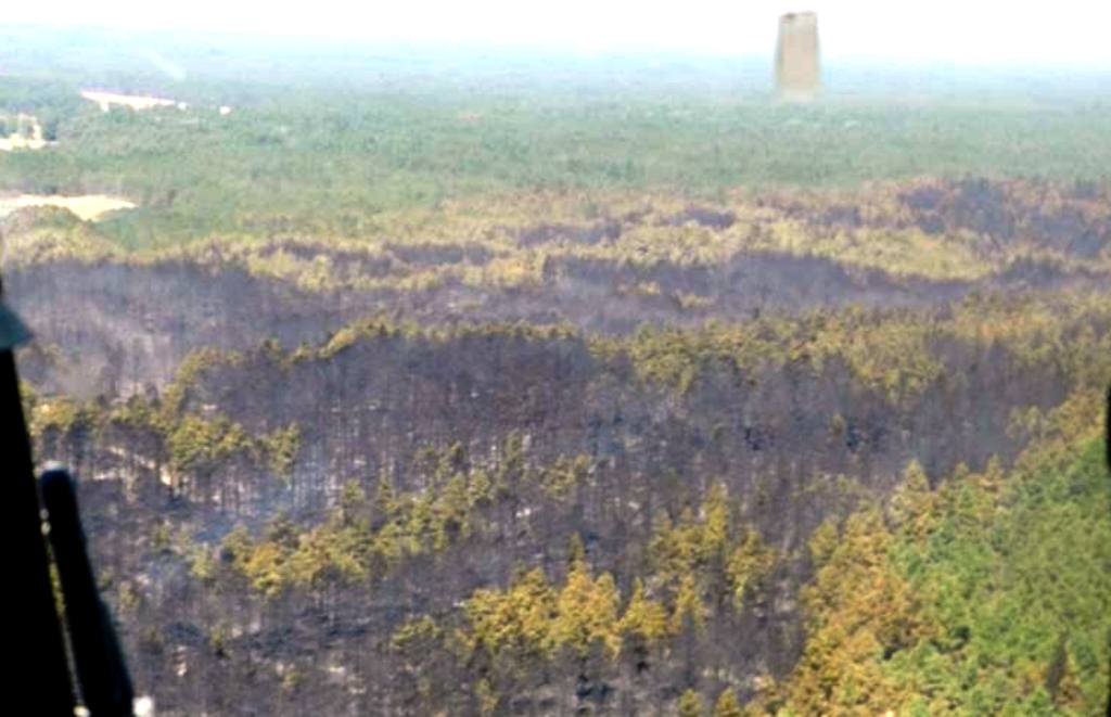 Гасіння лісу на Херсонщині ще триває (оперативні дані ГУ ДСНС)