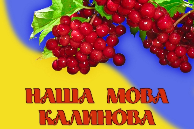 Мільйон - на розвиток української мови в Херсоні