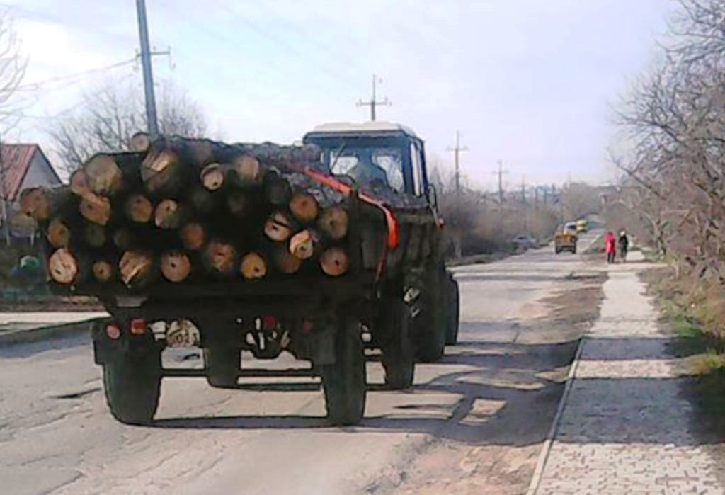 Після самовільної вирубки дерев під Херсоном екологи порахували пеньки