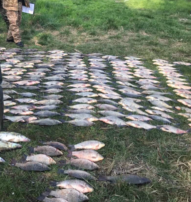 200 кг риби на понад 40 тис грн - у Голопристанському районі правоохоронці затримали чергових браконьєрів