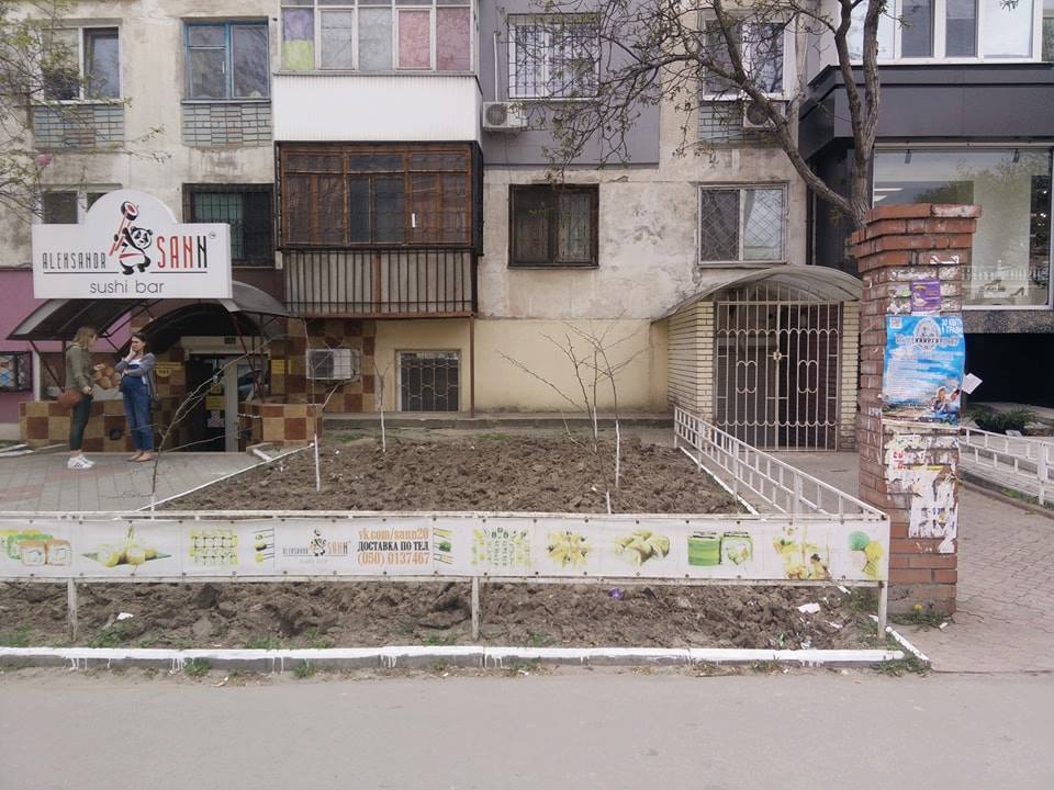 В Херсоне на месте прошлогодней незаконной летней площадки сегодня растут саженцы деревьев