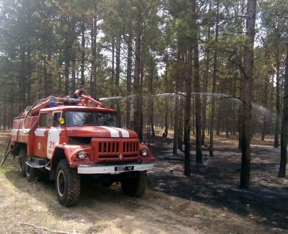 Олешківська пожежа ліквідована: рятувальники і лісівники впоралися вправно