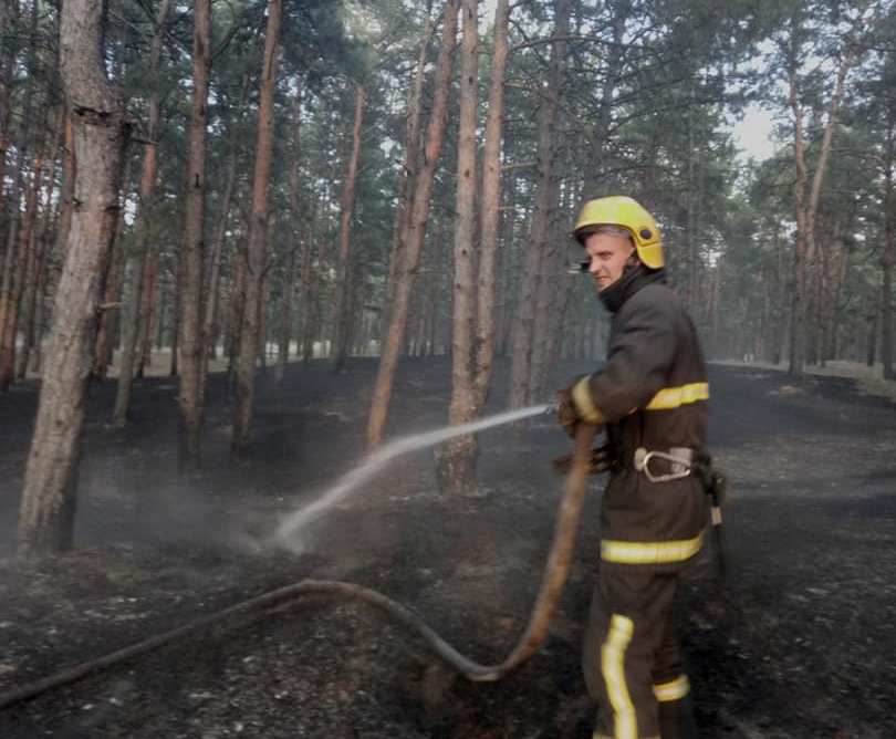 У рятувальників Херсонщини гаряча пора - щодня горить там сухостій, там ліс