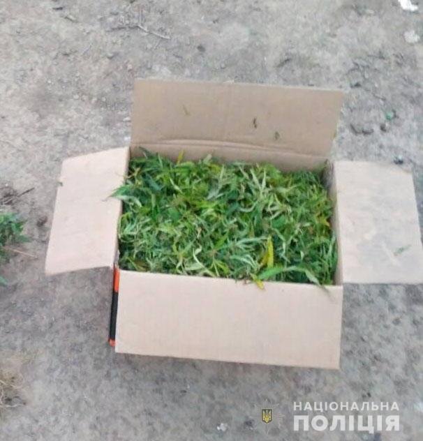 У жителя Каховки знайшли кілограм конопель і згортки з канабісом