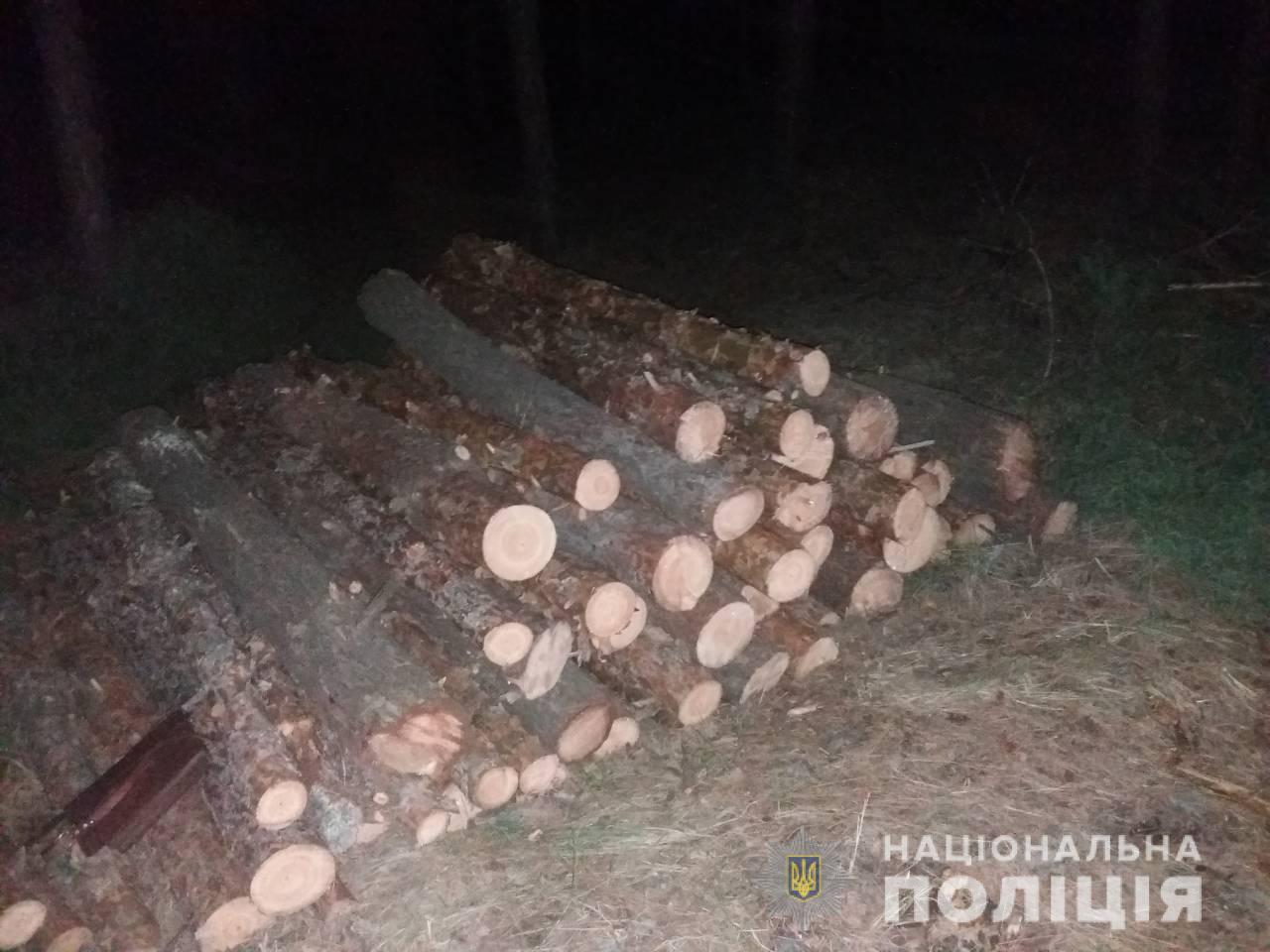 У Голопристанському районі поліція впіймала 