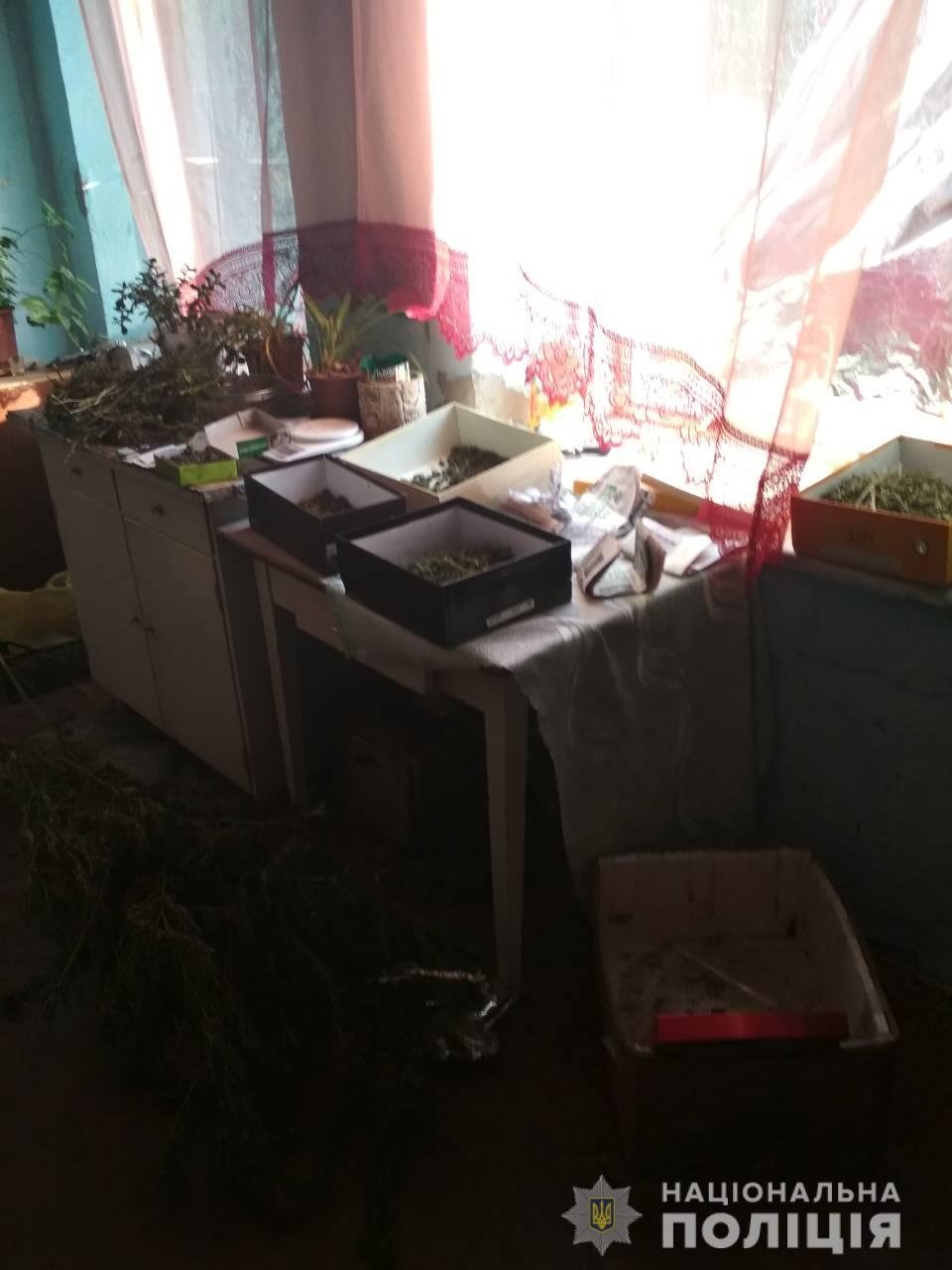 У жителя Каховки поліцейські вилучили канабіс та знищили насадження конопель У жителя Каховки поліцейські вилучили канабіс та знищили насадження конопель