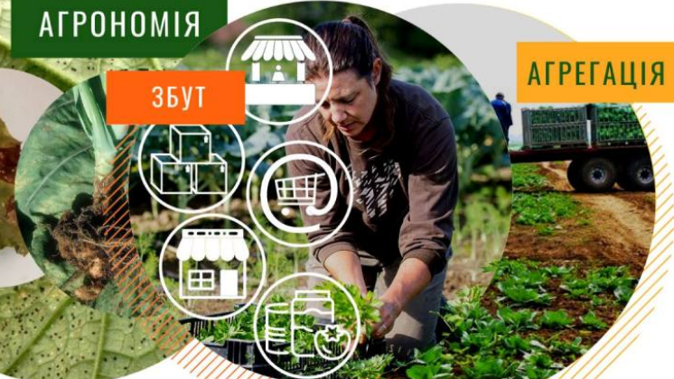 У дрібних херсонських сільгоспвиробників з`явилася можливість знайти нові ринки збуту своєї продукції У дрібних херсонських сільгоспвиробників з`явилася можливість знайти нові ринки збуту своєї продукції