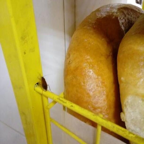 Хлеб в херсонских магазинах охраняют тараканы