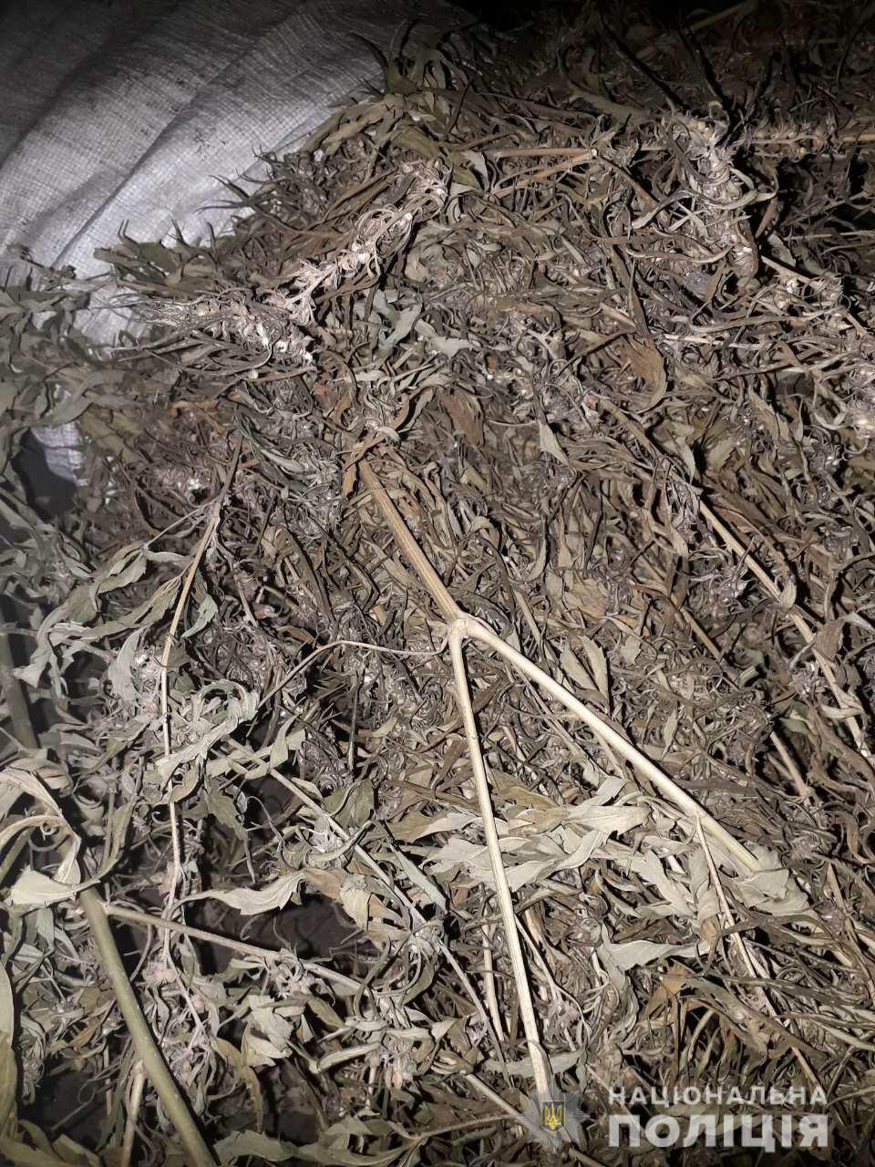 Нічні 