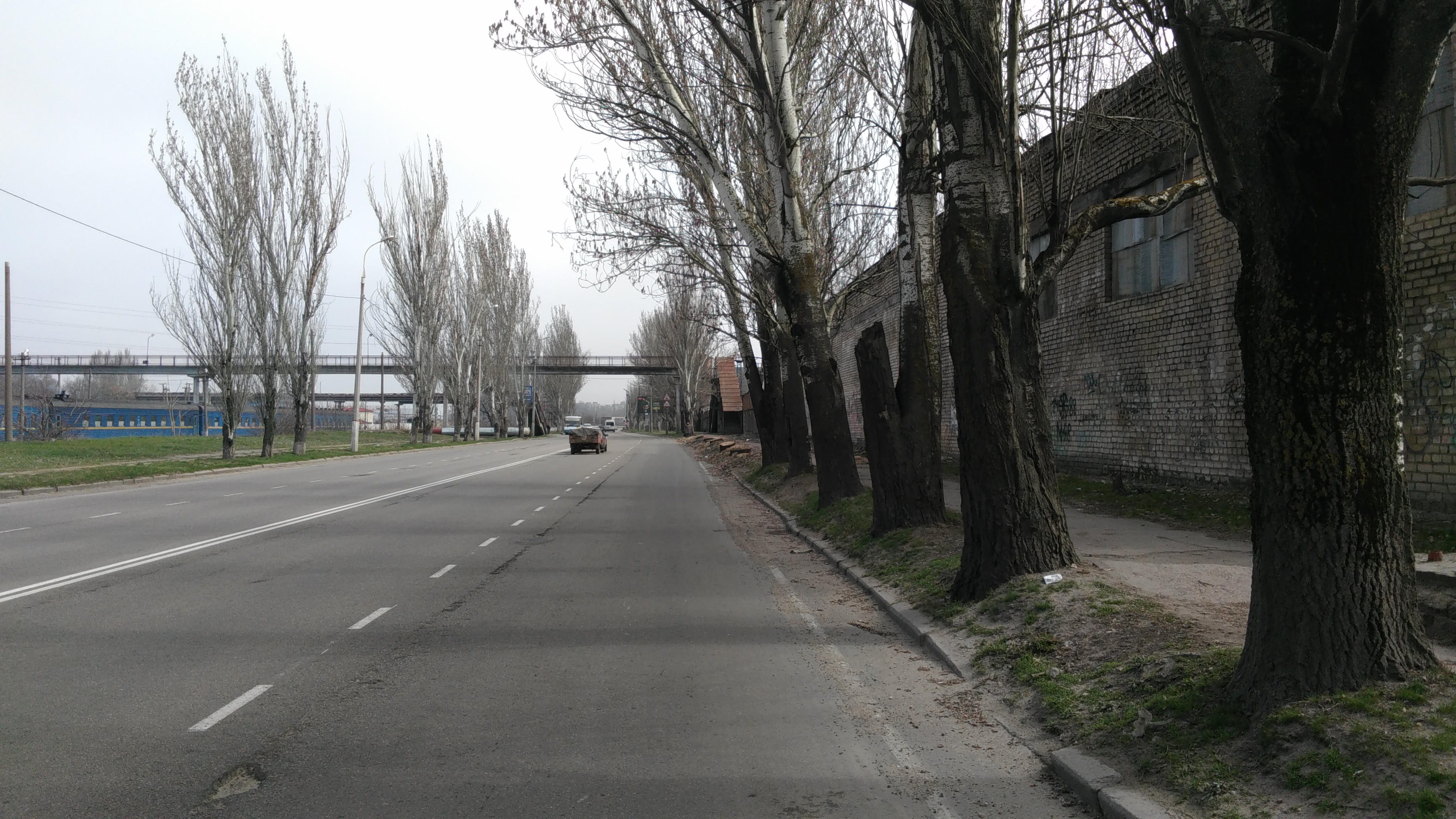 Еще минус 10 тополей - солнце уже припекает, а в Херсоне продолжают рубить деревья Еще минус 10 тополей - солнце уже припекает, а в Херсоне продолжают рубить деревья
