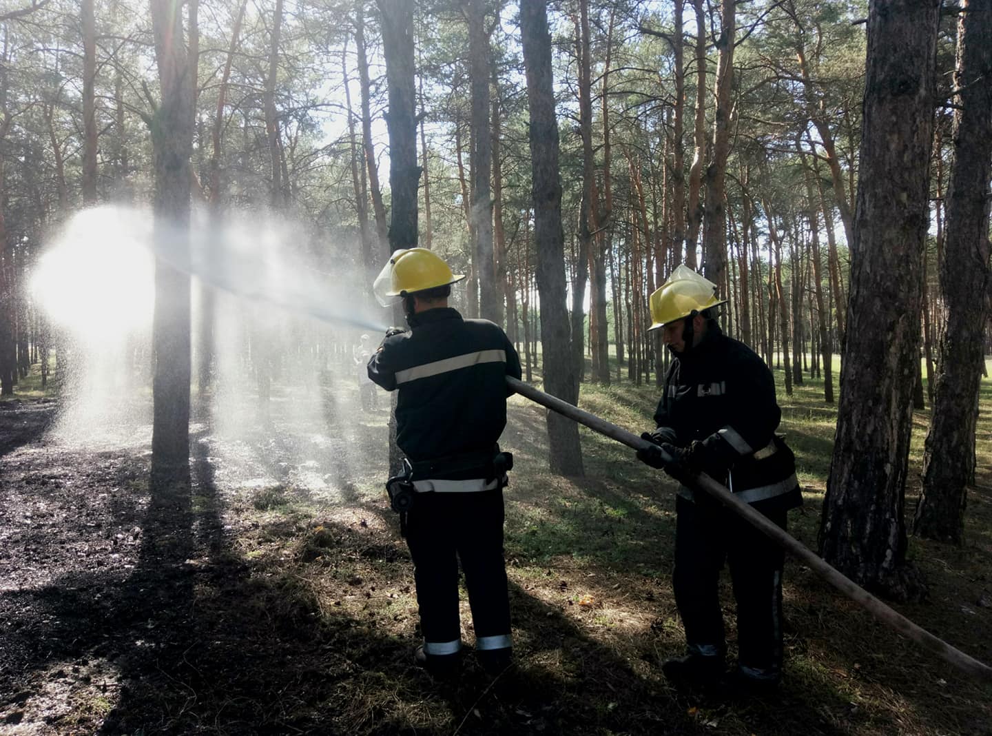 Каховські рятувальники ліквідували загорання у лісовому масіві