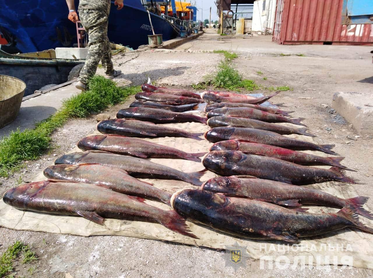 На Херсонщині продовжуються профілактичні заходи поліції «Нерест» На Херсонщині продовжуються профілактичні заходи поліції «Нерест»