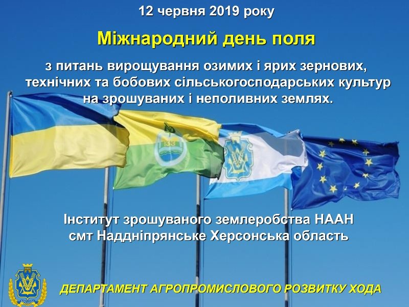 Херсонців запрошують на Міжнародний день поля Херсонців запрошують на Міжнародний день поля