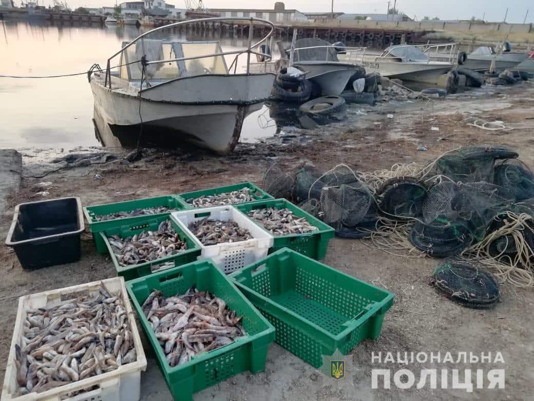 Рыбных браконьеров даже нашествием медуз не испугаешь
