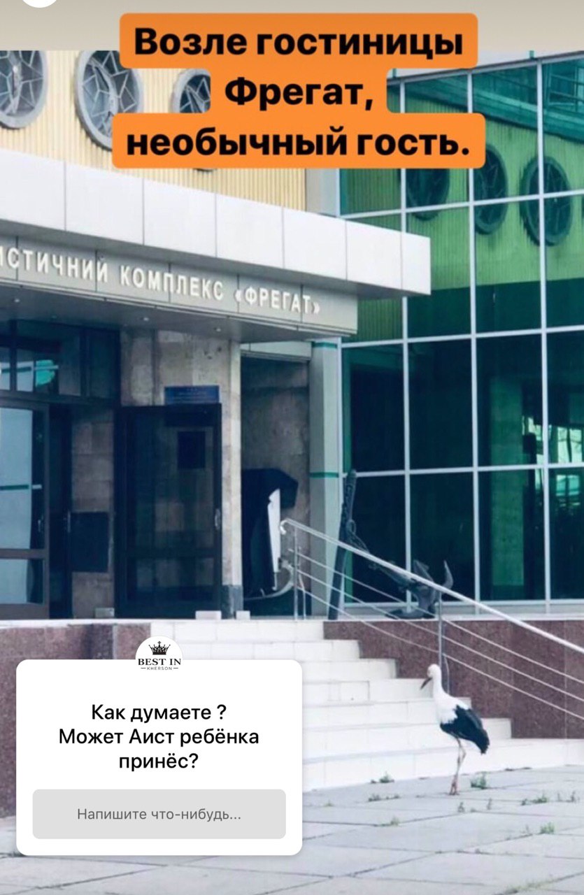 В Херсоне гостиницу посетил аист - фотофакт!