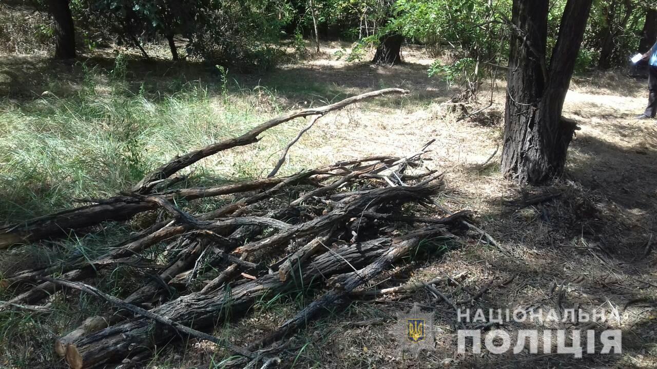 В Олешківському районі загострилася проблема незаконної порубки дерев