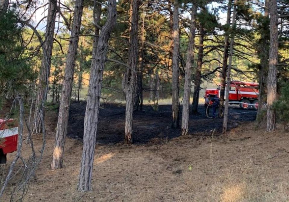 В Олешківському районі знову горів ліс