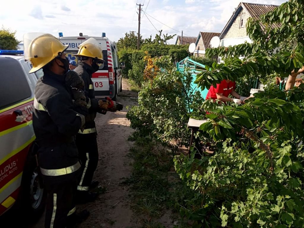 На Херсонщині рятували підлітка, якому прут металевого паркану прошив наскрізь ногу На Херсонщині рятували підлітка, якому прут металевого паркану прошив наскрізь ногу