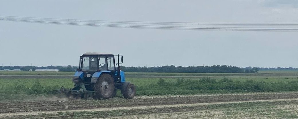 Агросектор Херсонщини: які пестициди зараз використовують в області Агросектор Херсонщини: які пестициди зараз використовують в області