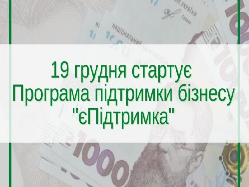 Херсонські бізнесмени можуть стати учасниками проєкту «єПідтримка»