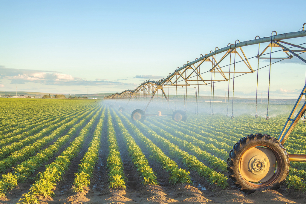 Через тарифи на воду ціни на продукти злетять на 30% - аграрії просять Уряд врегулювати ситуацію Через тарифи на воду ціни на продукти злетять на 30% - аграрії просять Уряд врегулювати ситуацію