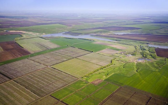 Термін оформлення невитребуваних паїв продовжено до 2028 року