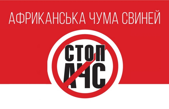 Спалах африканської чуми свиней