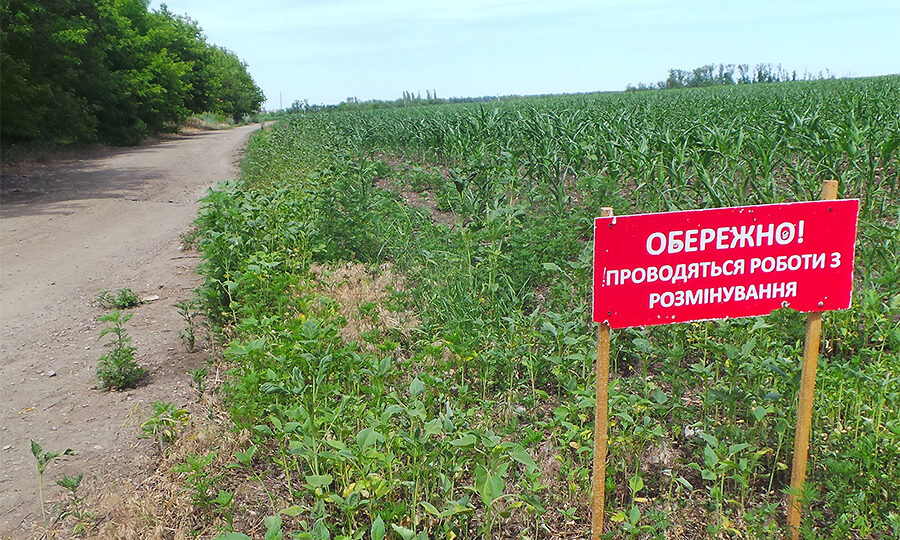 На гумрозмінуванні Херсонщини привласнили більше 6 мільйонів гривень бюджетних коштів